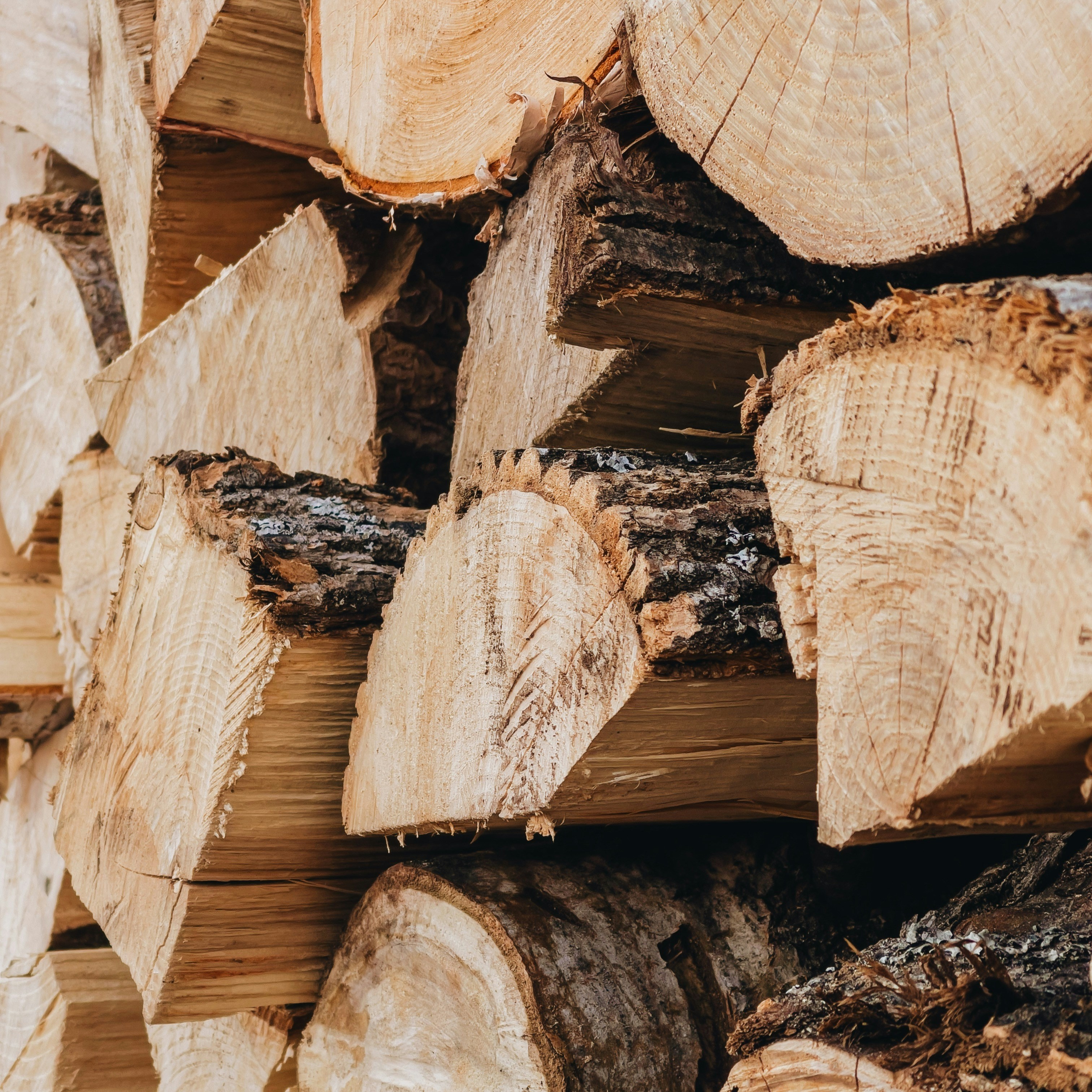 Bois de chauffage SAS Graziani Forestier